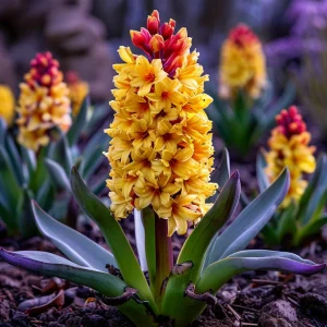 Гиацинт Миднайт Мистери купить по цене от 2099р. в интернет-магазине «Посадика» с доставкой почтой в в Арске и по всей России – [изображение №1].